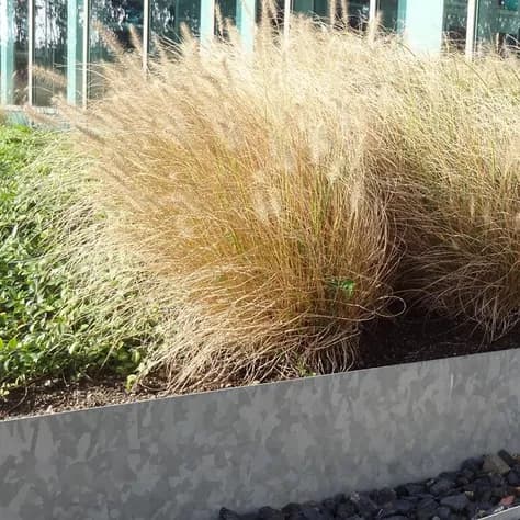 Bordure de jardin angle supperieur aplati  Acier galvanisé