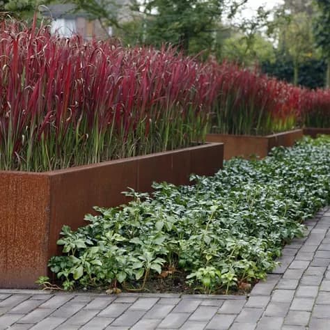 Murs de soutènement 200 droit Acier corten