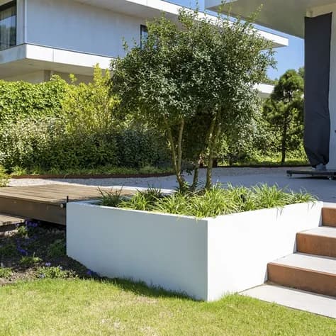 CARREZ avec fond Polyester