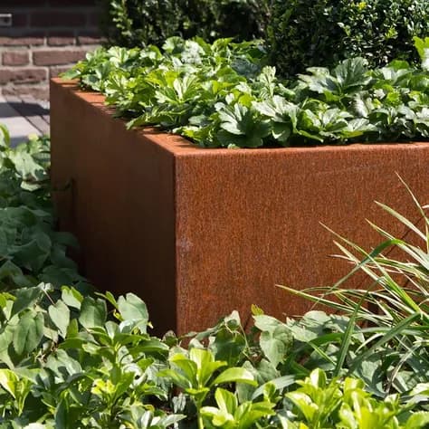 CARREZ Sans fond Acier corten