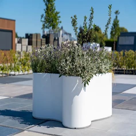 ORGAN Polyester
