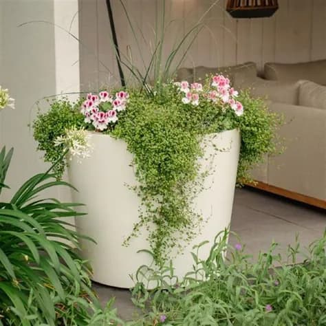 CONIC avec fond Polyester