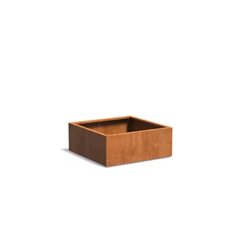 CARREZ avec fond Acier corten