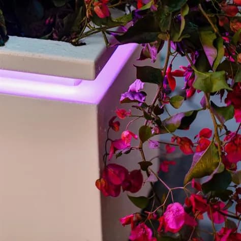 CARREZ in-lite Ready Aluminium