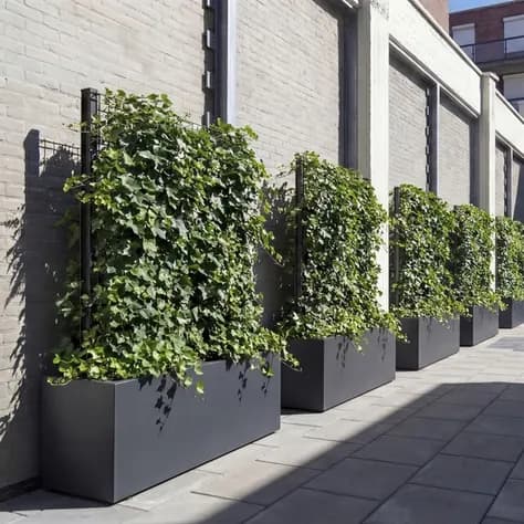 TRELLIS Acier corten