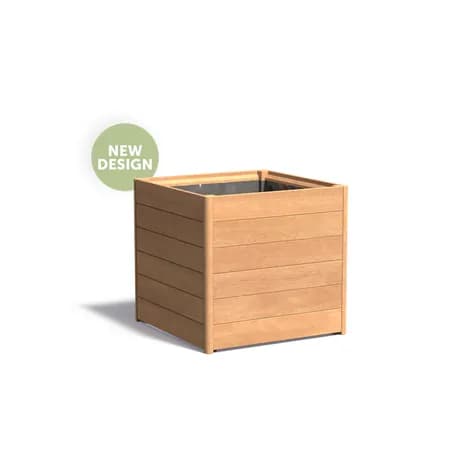 CARREZ avec fond (new design) Bois dur