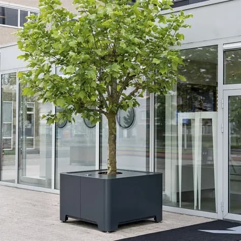 CARREZ treehub Air-Pot  Aluminium