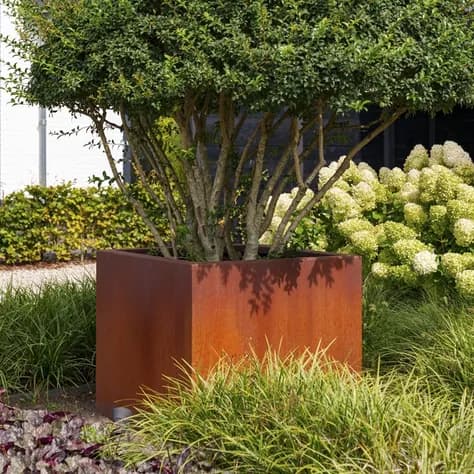 CARREZ avec fond Acier corten