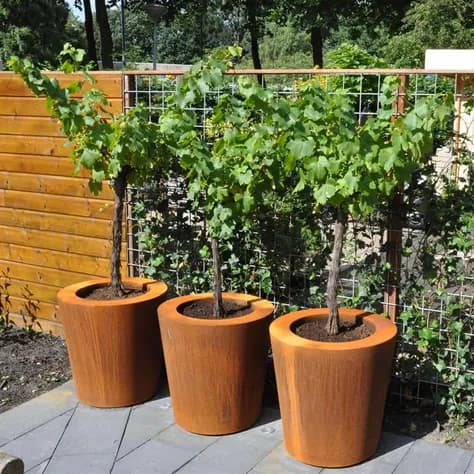 CONIC avec fond Acier corten