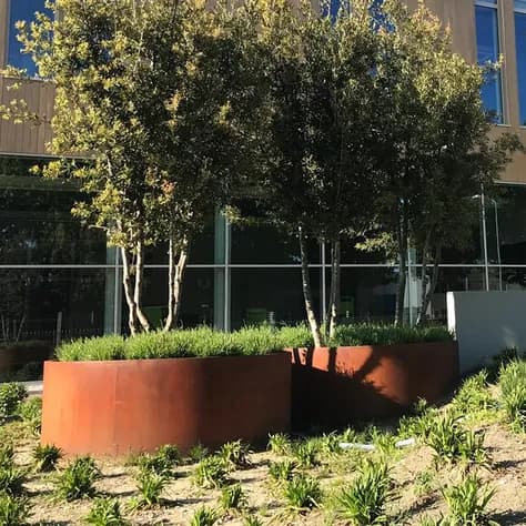 CIRCUM avec fond Acier corten