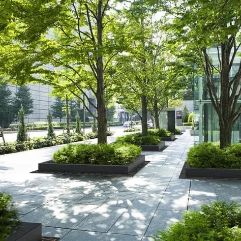 Miroir d'arbre carré 1950 Acier corten